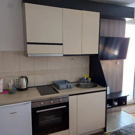Apartment Oki *
